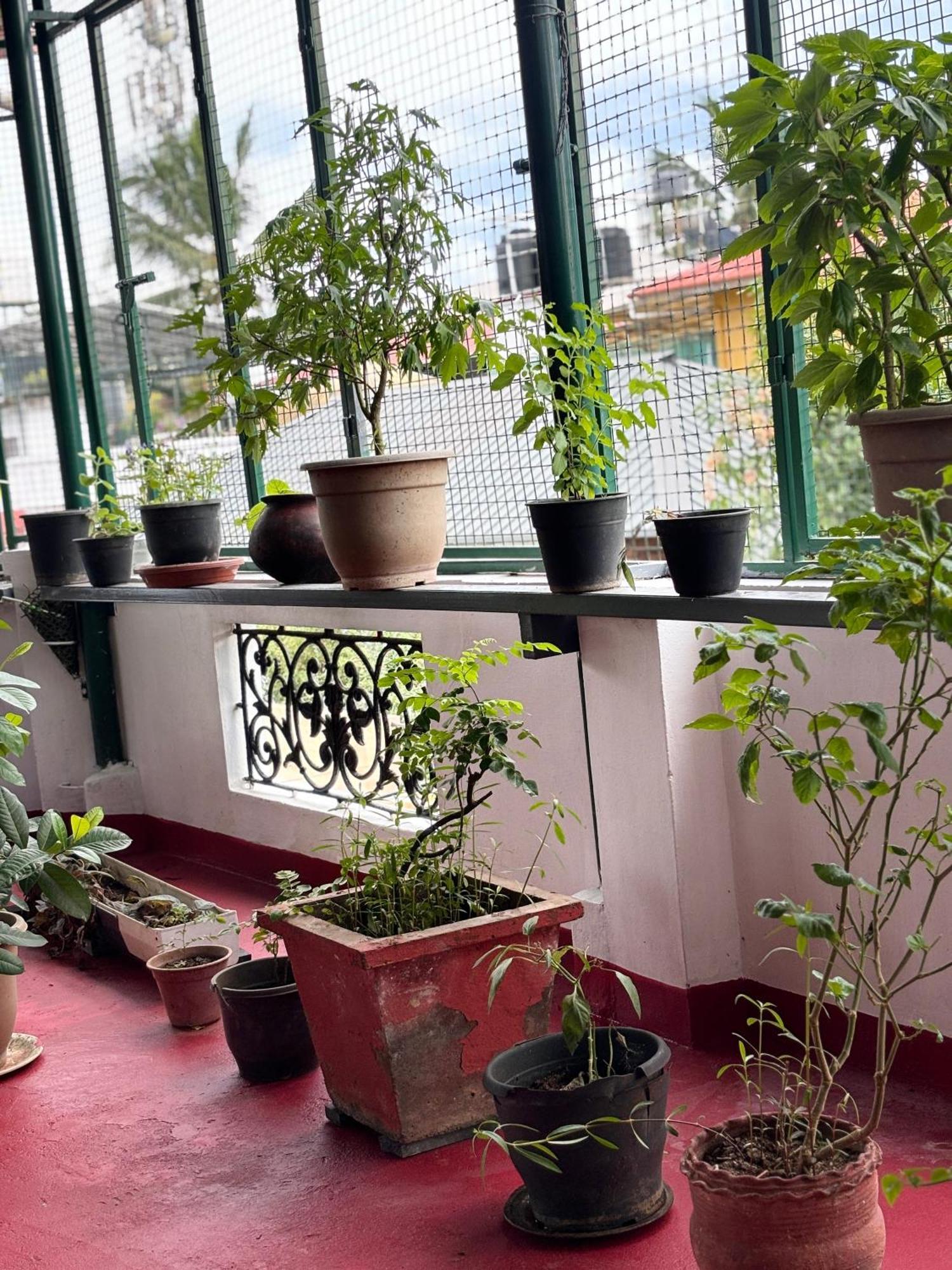 Beza Homestay Kochi Esterno foto